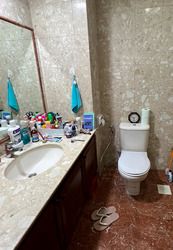 The Blossomvale (D21), Condominium #616535521